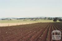 Browns Lane, Nalangil, 2009