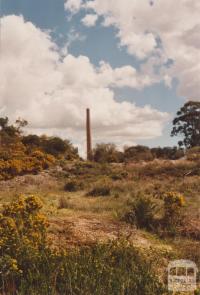 Beehive chimney, Maldon, 2009