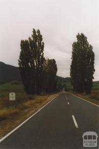 Towong Shire, 2010