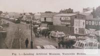 Loading artificial manure, Yarraville station, 1913