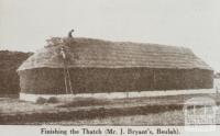 Finishing thatch at Mr Bryant's, Beulah, 1922