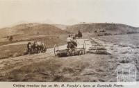 Cutting meadow hay at Dumbalk North, 1936