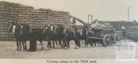 Carting wheat to Nhill yard, 1936