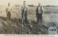 Mr J.W. Jackman's farm, Dingee, 1940