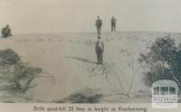 Sandhill at Kooloonong, Swan Hill Shire, 1944