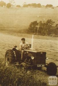 Mowing pasture, Bona Vista, Nilma near Warragul, 1958