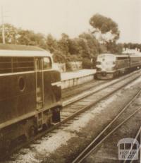 Spirit of Progress and The Daylight passing at Longwood, 1956