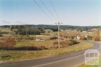Magpie: down Docwra Street across Yarrowee Creek, 2010