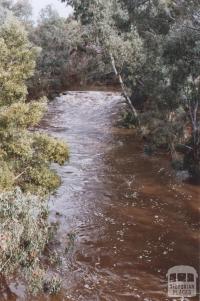 Loddon River, Newstead, 2010
