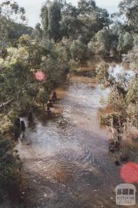 Loddon River, Newstead, 2010