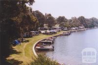 Camping Area, Mallacoota, 2011