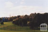 Artist Camp Area, Box Hill South, 2011