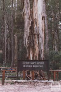 Stringybark Creek, Tolmie, 2012