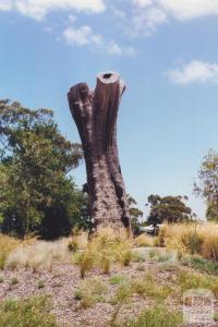 Aboriginal Tree, Burnley Park, 2000