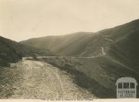 View of Alps Road in summer at Mount Hotham