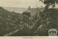 Breakneck Gorge, Daylesford