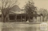 Moore & Sons, High Street, Echuca, 1909