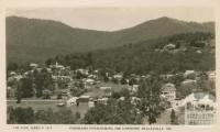 Panorama overlooking the township, Healesville