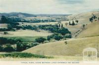 Typical rural scene between Lakes Entrance and Buchan, 1955