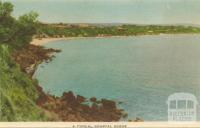 A typical coastal scene Mornington, 1951