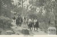 Chalet Ponies, Mount Buffalo, 1953