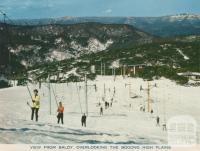 View from Baldy overlooking the Bogong Plains, Mount Buller, 1974