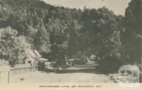 Devonshire Lane, Mount Macedon, 1949