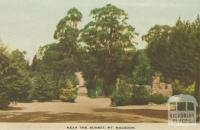 Near the Summit, Mount Macedon, 1955