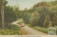 On the road to the Summit of Mount Macedon, 1955