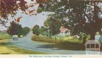 The Road near Camping Ground, Orbost, 1964