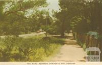 The road between Sorrento and Portsea