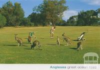 Anglesea, Great Ocean Road