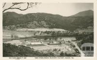 View Overlooking Masonite Factory, Eildon