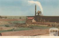 A Sawmill in the Orbost District, 1948