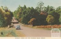 Wombat Creek on the Highway near Orbost, 1948