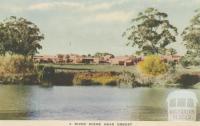 A River Scene near Orbost, 1948