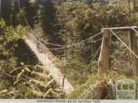 Suspension Bridge, Bulga National Park