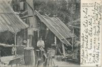 Bush Hut, Gippsland, 1914