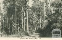 Through the Tarra Valley, 1949