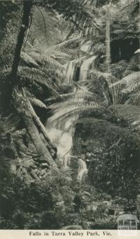 Falls in Tarra Valley Park, 1949