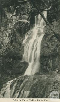 Falls in Tarra Valley Park, 1949