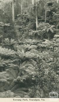 Yerrang Park, Traralgon