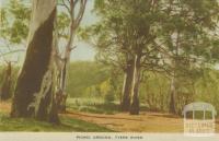 Picnic Ground, Tyers River