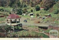 General View of the Town Centre, Walhalla