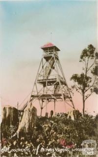 The lookout, Mt Donna Buang, Warburton