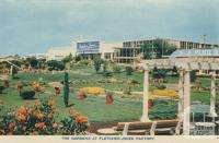 The Gardens at Fletcher Jones Factory, Warrnambool, 1960