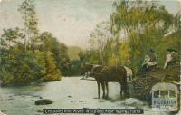 Crossing King River, Whitfield, 1907