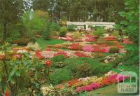 National Rhododendron Garden, Olinda