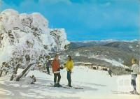 Beginner's ski slopes, Mount Buller