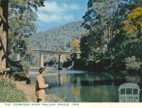 Thompson River Railway Bridge, Walhalla